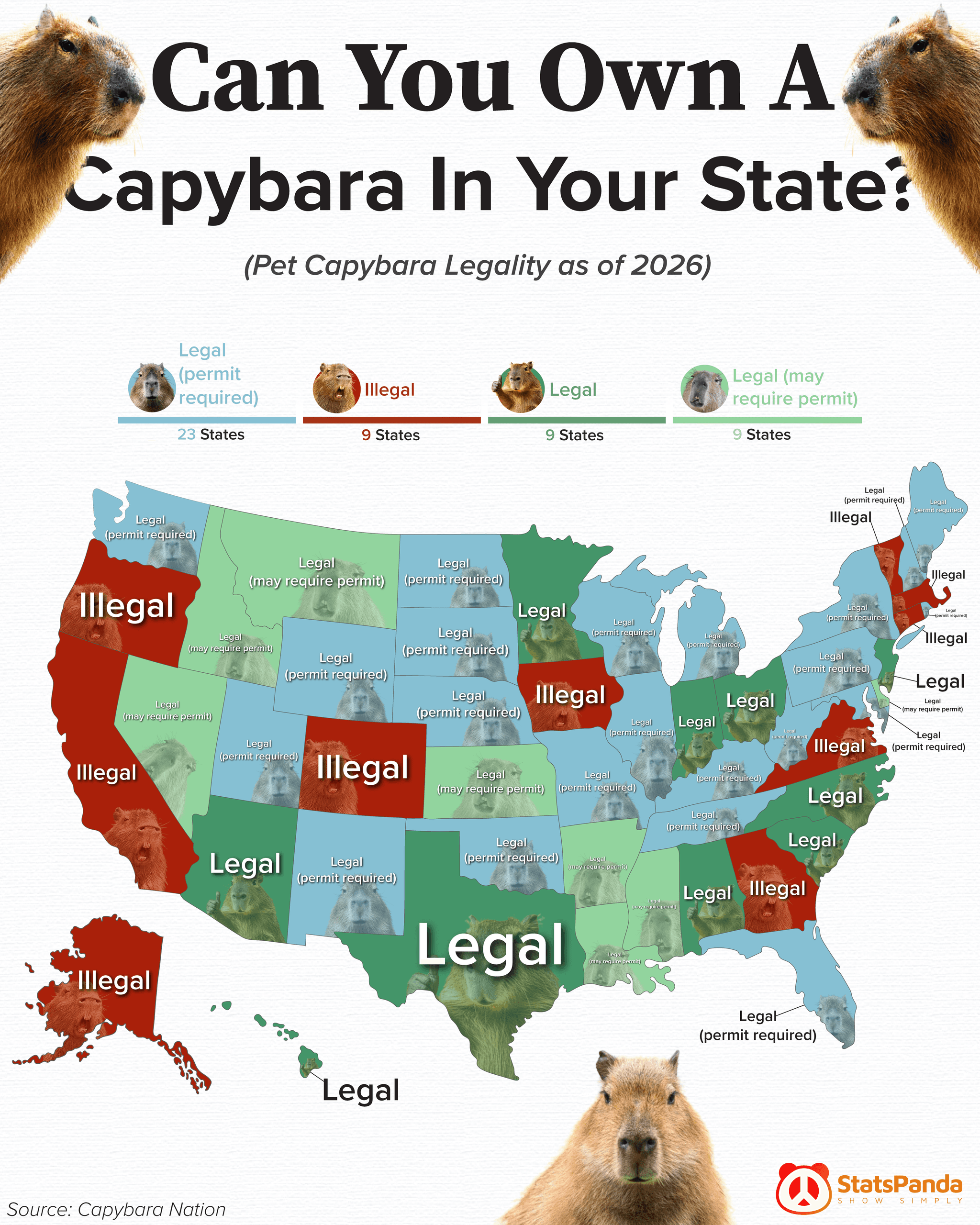 Map showing the legal status of capybara ownership across the United States