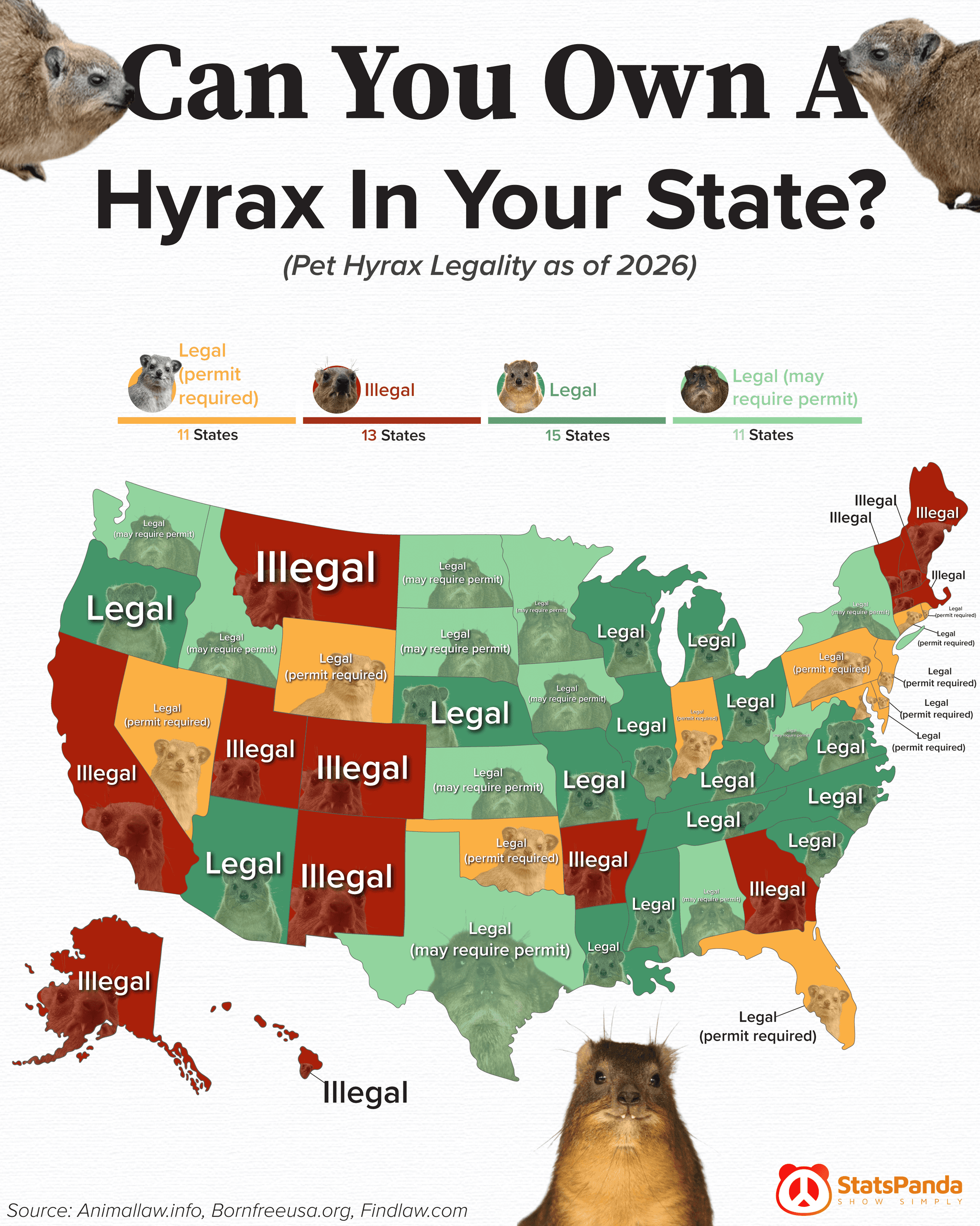 Map of pet hyrax legality by state in the United States 2026 showing which states allow legal hyrax ownership with or without permits