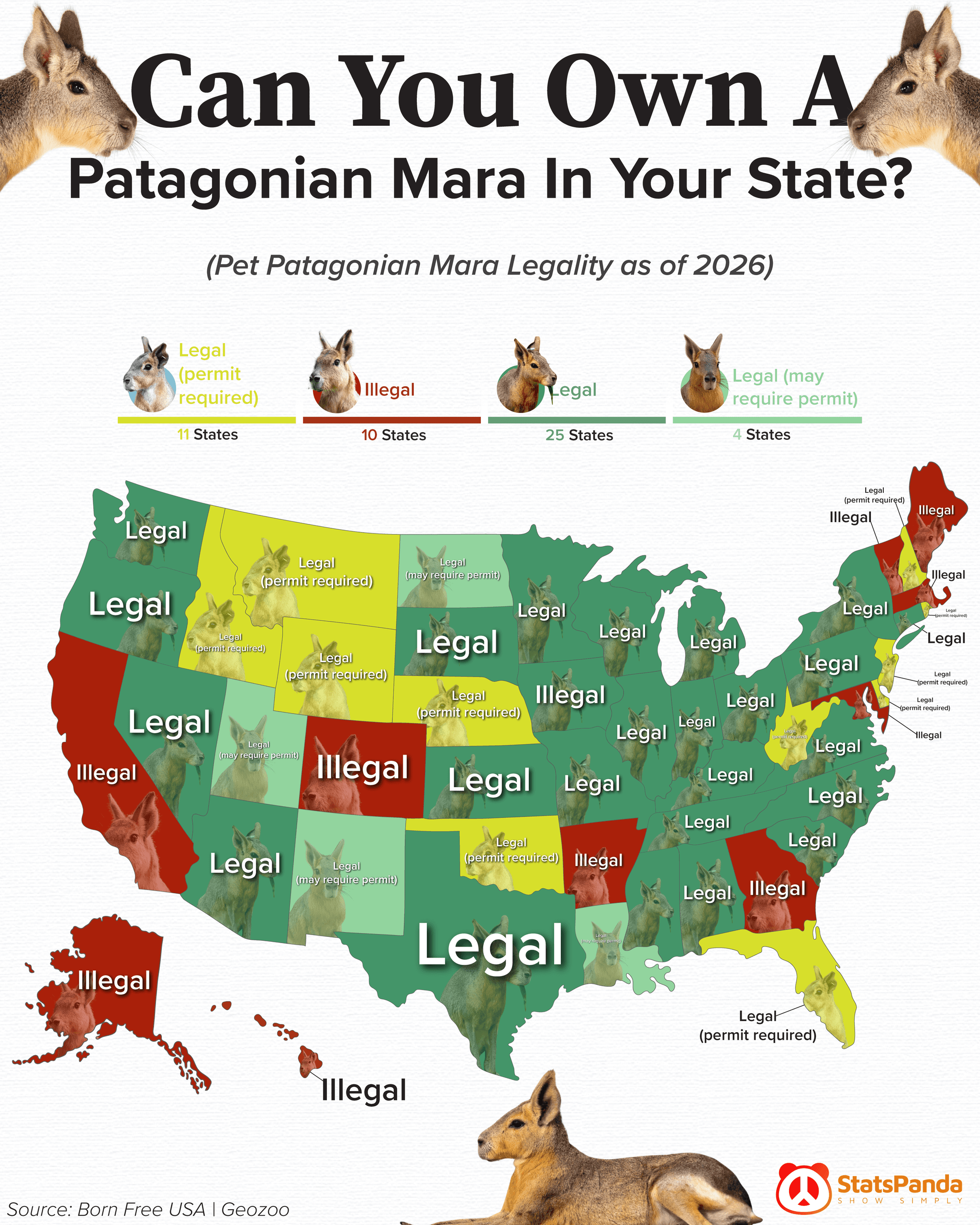 Map of pet Patagonian mara legality by state in the United States 2026 showing which states allow legal mara ownership with or without permits